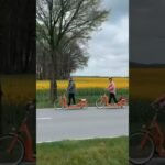 Características ideales de una bicicleta eléctrica plegable para trayectos diarios para moverse sin esfuerzo por la ciudad